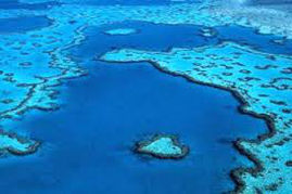 PROTECT OUR REEF – lets do this..